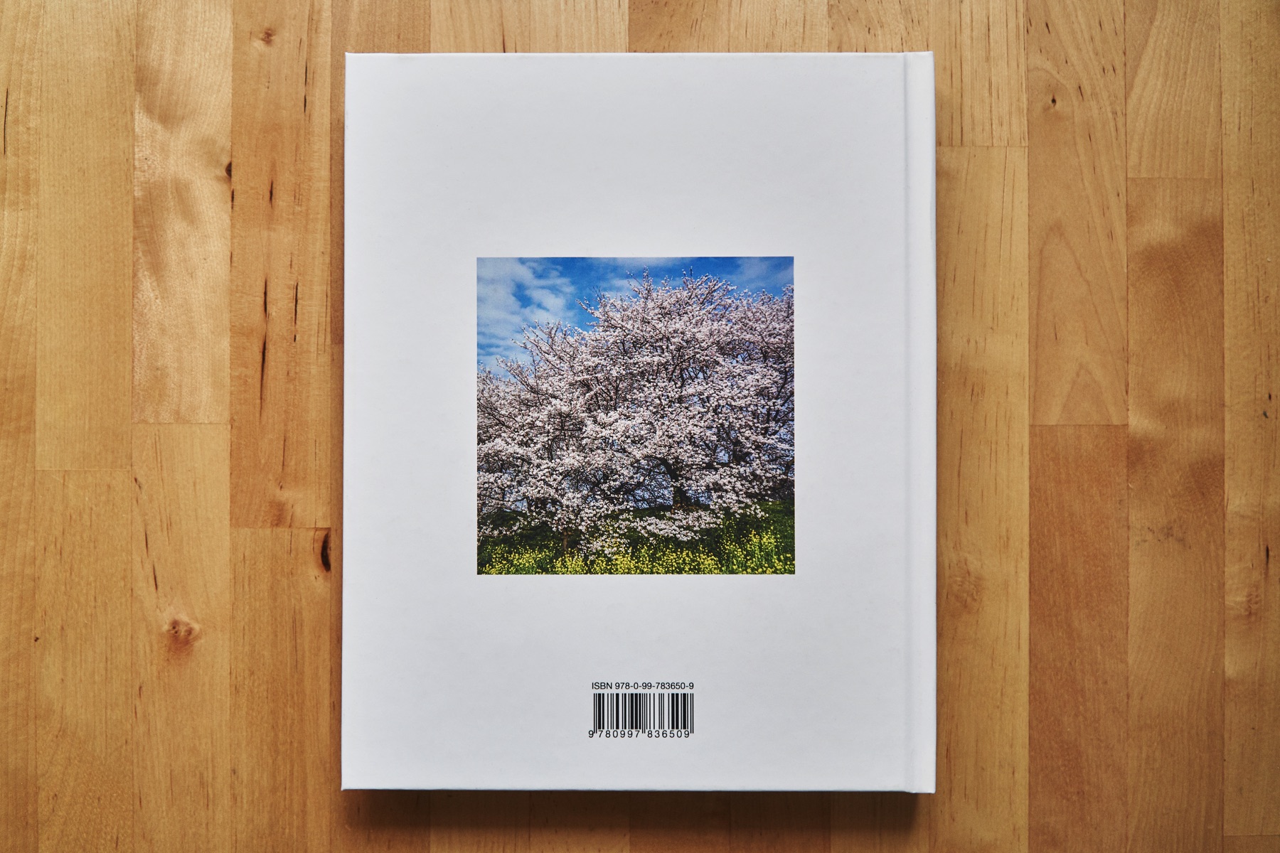 Book_Images_4